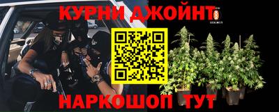 мяу мяу мука Лесосибирск