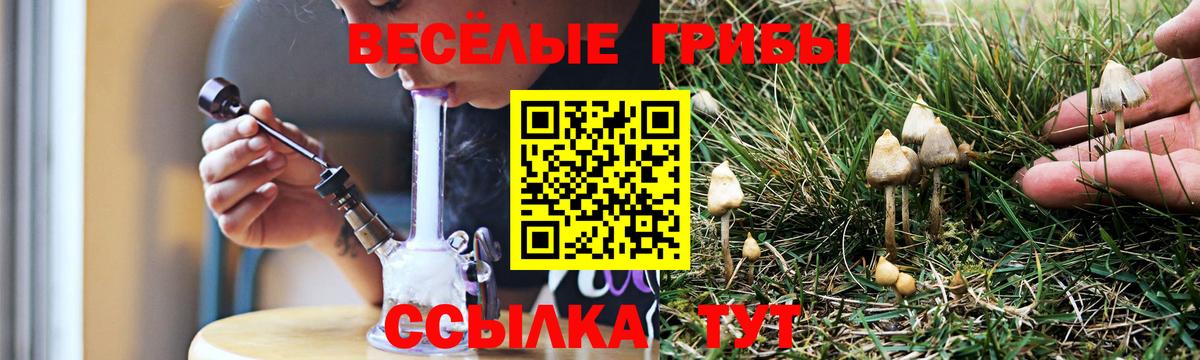 наркотики  Псилоцибиновые грибы MAGIC MUSHROOMS  Вход с VPN  Топки 